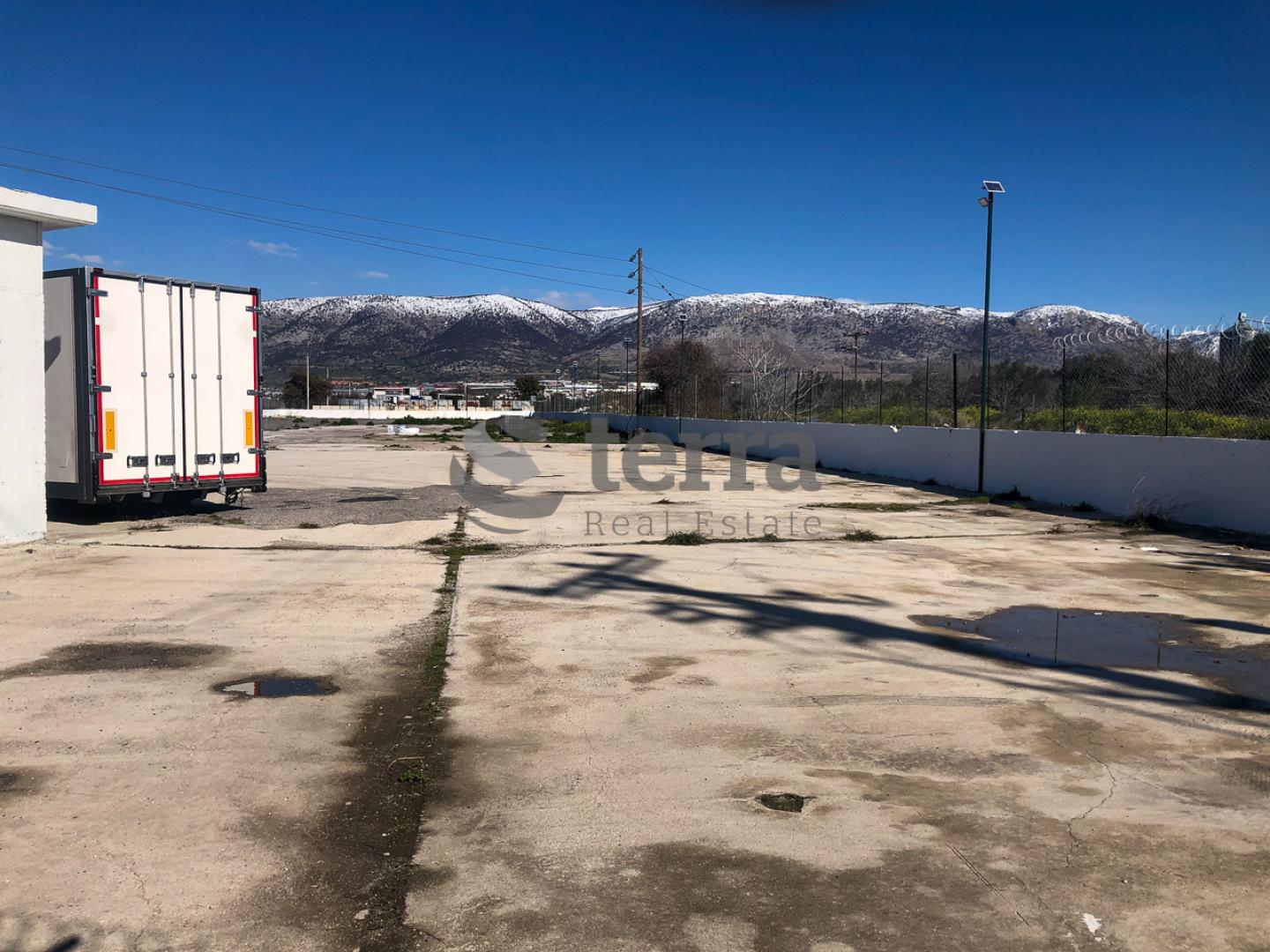 West Attica, plot 5,500 sq.m for rent