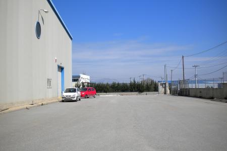 Viotia industrial warehouse 2.200 sq.m for rent