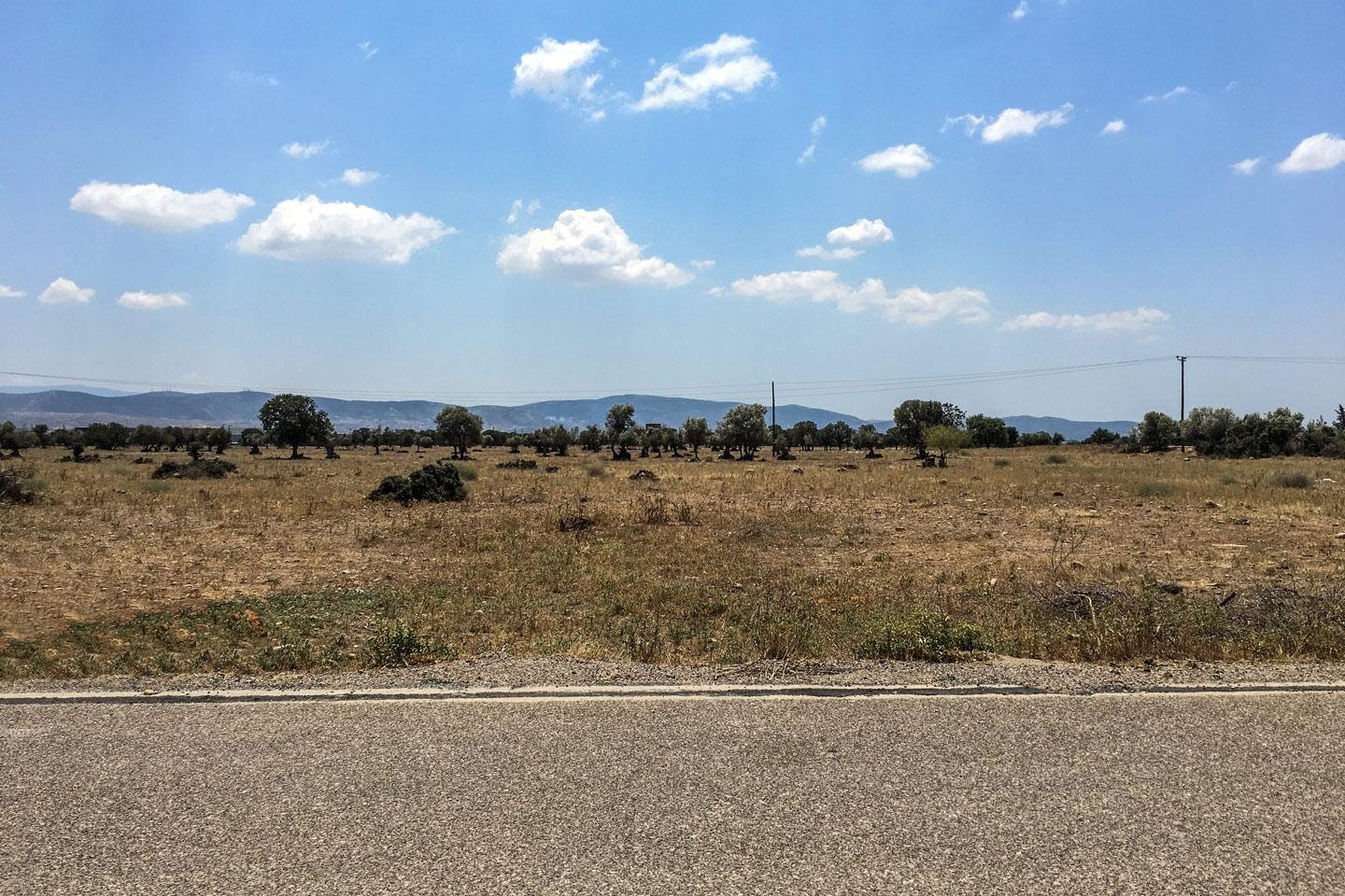 West Attica land 14.500 sq.m for sale