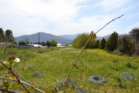 Agricultural plot 7.200 sq.m for sale, East Attica