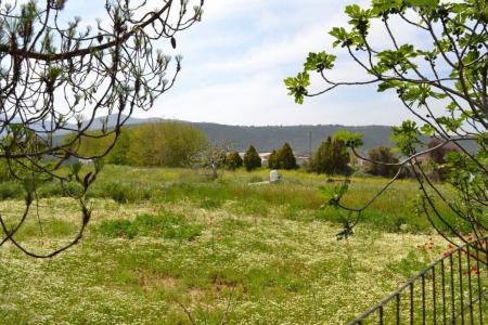 Agricultural plot 7.200 sq.m for sale, East Attica