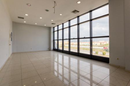 Viotia commercial property 4.060 sq.m for rent