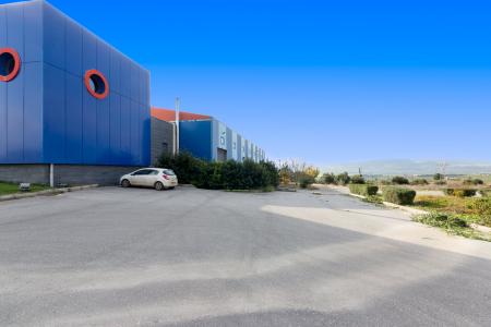 Commercial property 4.060 sq.m for sale, Viotia