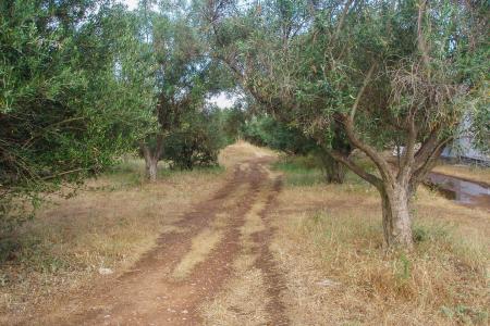 West Athens industrial plot 7.000 sq.m for sale